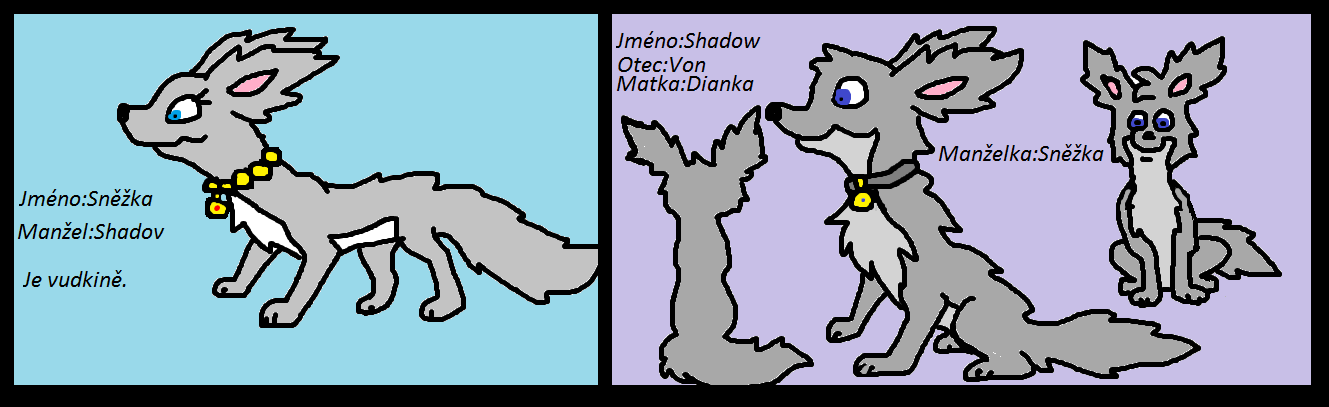 snezka-a-shadow